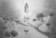 Our Lady of Fatima