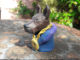 Rowdee Sculpture