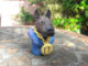 Rowdee Sculpture